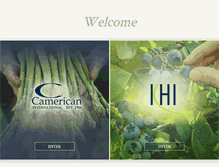 Tablet Screenshot of camerican.com